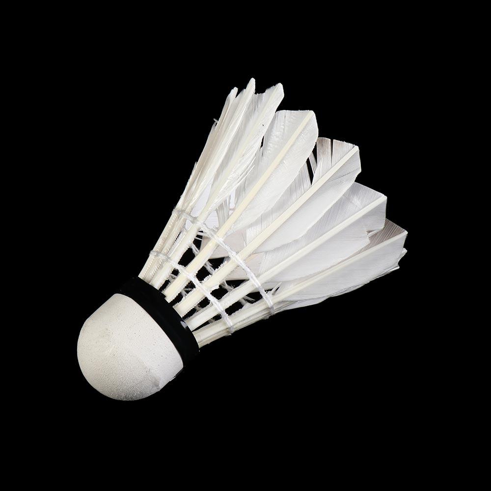 Elastische, Extrem Langlebige  – Badminton League Bewertung und Preis